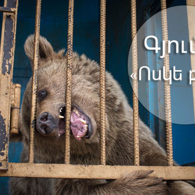 Մի՛ բանտարկեք վայրի կենդանիներին
